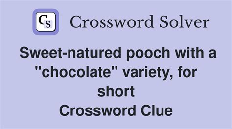 crossword clue search|Pooch crossword clue